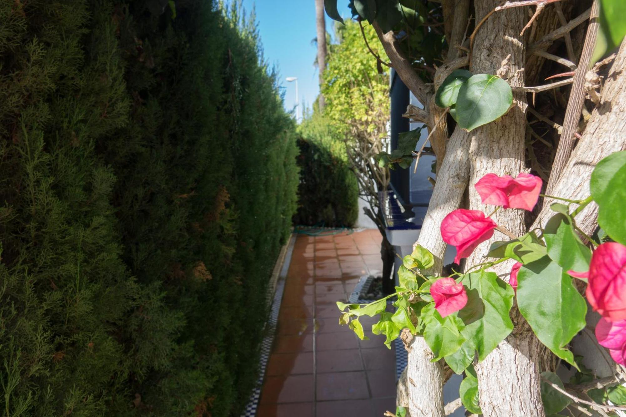 Apartamento Alextia La Barrosa Chiclana de la Frontera Ngoại thất bức ảnh